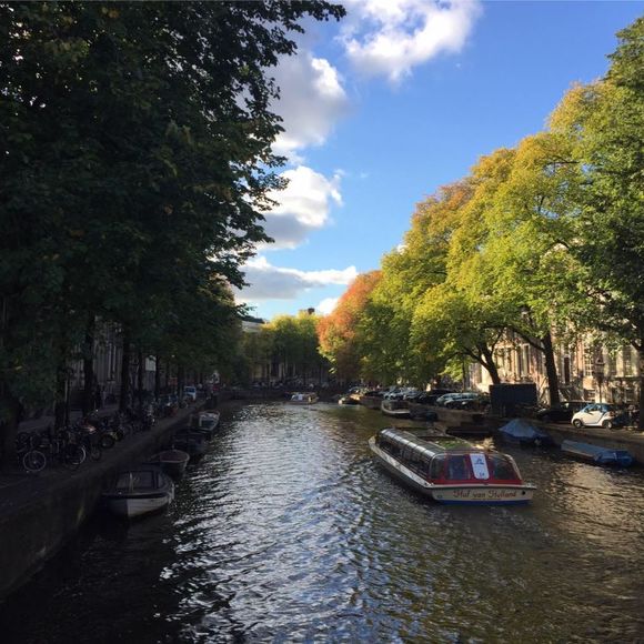 Meet your Posher, Wendy - Picture 1 of 1